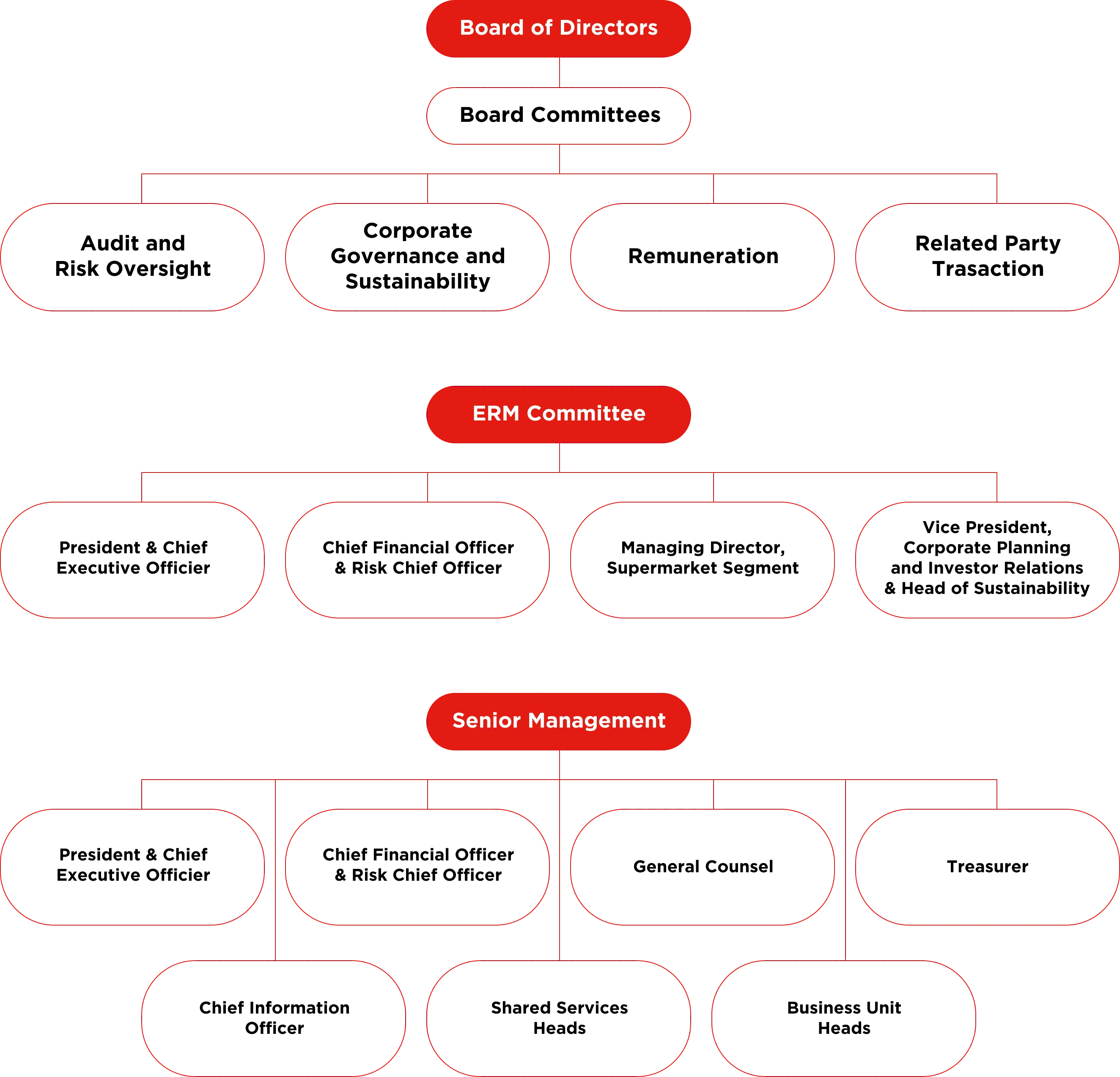 ERM Structure